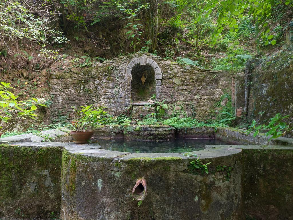 פשיה Agriturismo Le Fontanacce מראה חיצוני תמונה